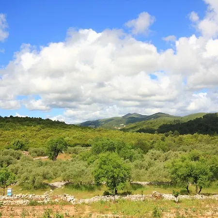 Family Friendly House With A Swimming Pool Zavalatica, Korcula - 9476 בית נופש זבלטיצה