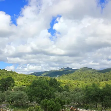 Family Friendly House With A Swimming Pool Zavalatica, Korcula - 9476 זבלטיצה