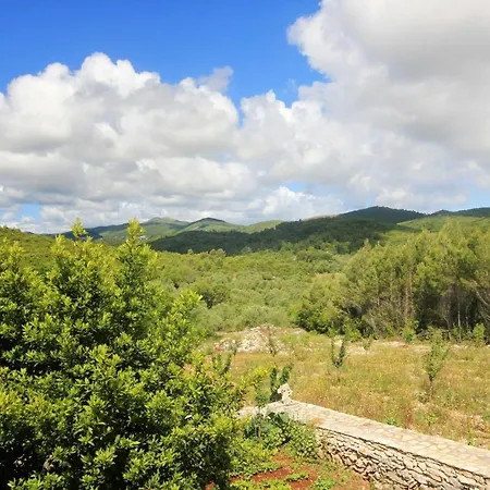 Family Friendly House With A Swimming Pool Zavalatica, Korcula - 9476 Holiday home Zavalatica