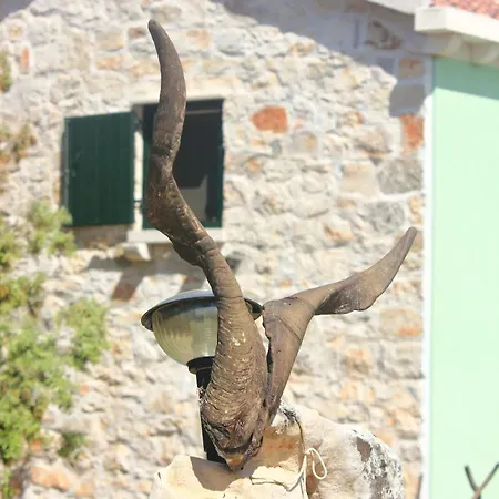 Vakantiehuis Family Friendly House With A Swimming Pool Zavalatica, Korcula - 9476 Zavalatica