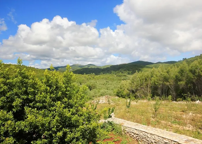 Family Friendly House With A Swimming Pool Zavalatica, Korcula - 9476 Semesterbostad Zavalatica