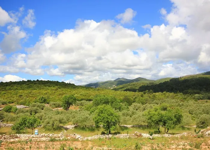 Family Friendly House With A Swimming Pool Zavalatica, Korcula - 9476 Semesterbostad Zavalatica